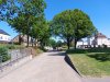 20210613_154441.jpg
