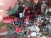IMG_20111216_095241.jpg