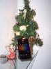 000_03581.JPG