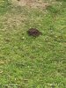 IMG_20260829_094229.jpg
