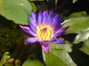 20120817132017.jpg
