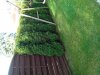 IMG_20121013_094652.jpg