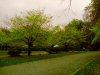 2012-11-08 09.53.26.jpg