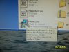 SAM_3223.JPG