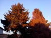 2012-12-11 15.37.47.jpg
