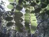 3138564_IMG_20121231_050932.jpg