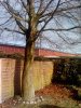 IMG_20130207_143011.jpg