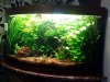 k-CameraZOOM-20130309205239371.jpg