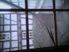 IMG_20130316_175419.jpg