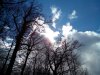 IMG_20130319_121029.jpg