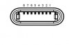 585545brochagelightning.jpg