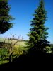 IMG_20130701_092600.jpg
