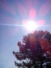 IMG_20130722_102734.jpg