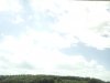 IMG_20130804_104417.jpg