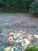 IMG_20130805_173416.jpg
