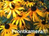 37_Frontkamera_01.jpg