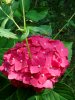 IMG_20130829_160434.jpg