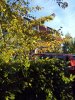 IMG_20130930_234708_20.jpg