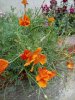 IMG_20131001_102514_11.jpg