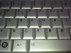 IMG_20131010_112124.jpg
