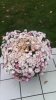 IMG_20131027_112809.jpg