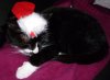 20131224100014307.jpeg