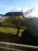 IMG_20131229_110449.jpg