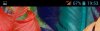 Screenshot_2014-01-20-19-53-53.jpg
