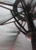 4420182_imag0004.jpg