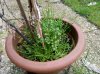 Gionee_Elife_S5.5_sample_2.jpg