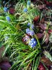 IMG_20140420_185658.jpg