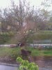 IMG0001A.jpg