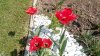 IMG_20140421_133548.jpg