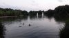 IMG_20140619_212319.jpg