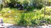 IMG_20140623_120550_1.jpg