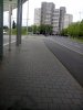 IMG_20140624_065332.jpg