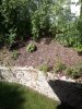 IMG_20140805_092544.jpg