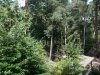 IMG_20140805_095011.jpg