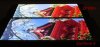 Display_07_IMG_9035.JPG