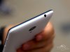 5616919_800-60D-7_thumb.jpg