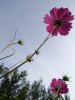 s_e586efb875bf470b9b61dc95cfc3322a.jpg