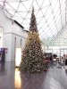 IMG_20150107_151530.jpg