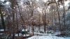 IMG_20141226_145524.jpg