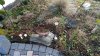 IMG_20150301_150117.jpg