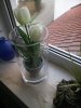 IMG_20150312_143310.jpg