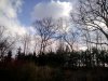 IMG_20150312_142919_1.jpg
