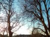 IMG_20150319_172051.jpg