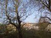 IMG_20150410_082645.jpg