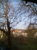 IMG_20150410_082723.jpg