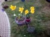 IMG_20150509_174646.jpg
